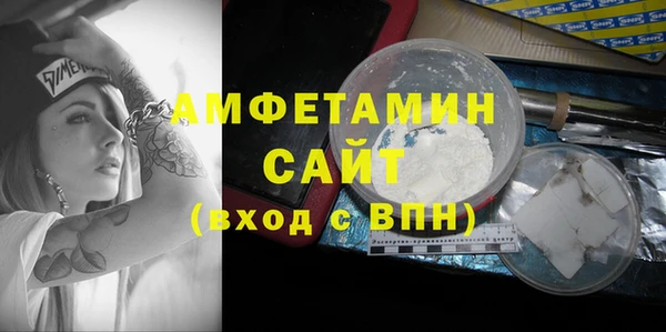 ECSTASY Алзамай