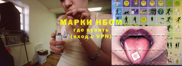 ECSTASY Алзамай