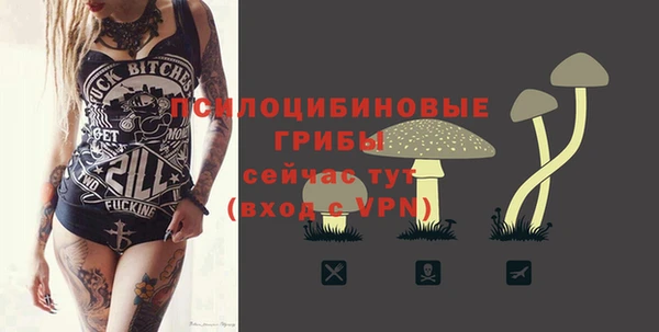 ECSTASY Алзамай