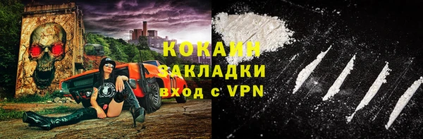 ECSTASY Алзамай