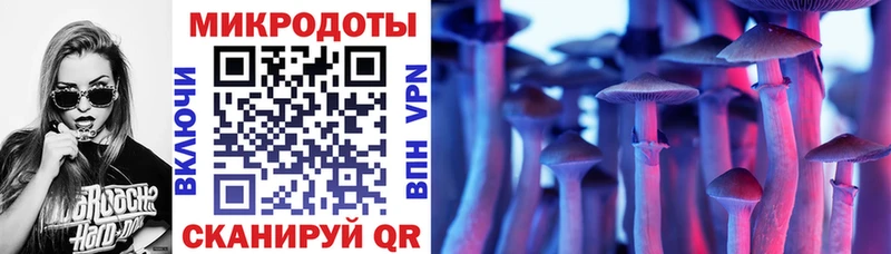 закладка  Черкесск  маркетплейс клад  Псилоцибиновые грибы Psilocybe 
